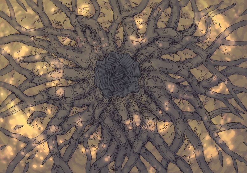 Ancient Tree Roots (23x16) Autumn, Day