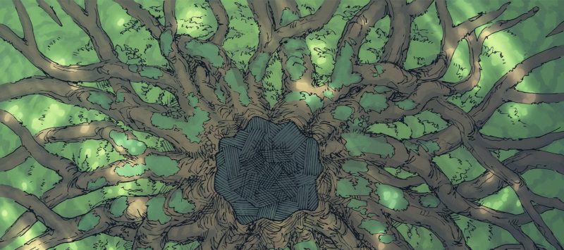Ancient Tree Roots Fantasy Battle Map - Banner