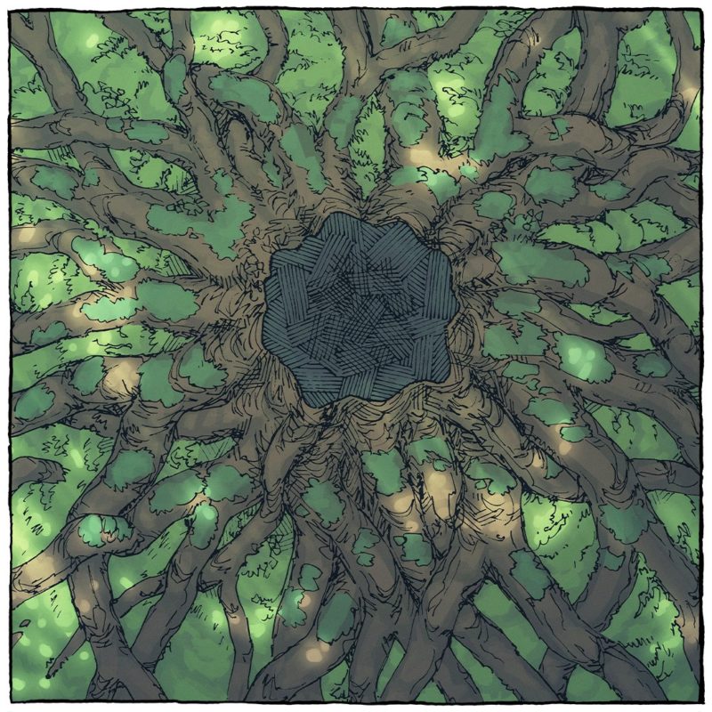 Ancient Tree Roots Fantasy Battle Map - Instagram