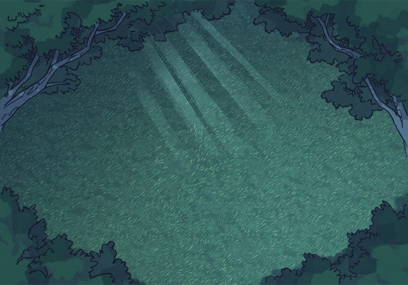Forest Clearing (23x16) Night