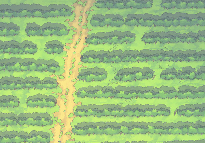 Vineyard (23x16) Day