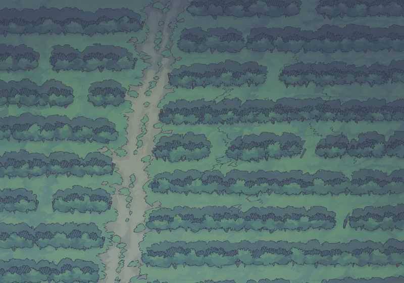 Vineyard (23x16) Night