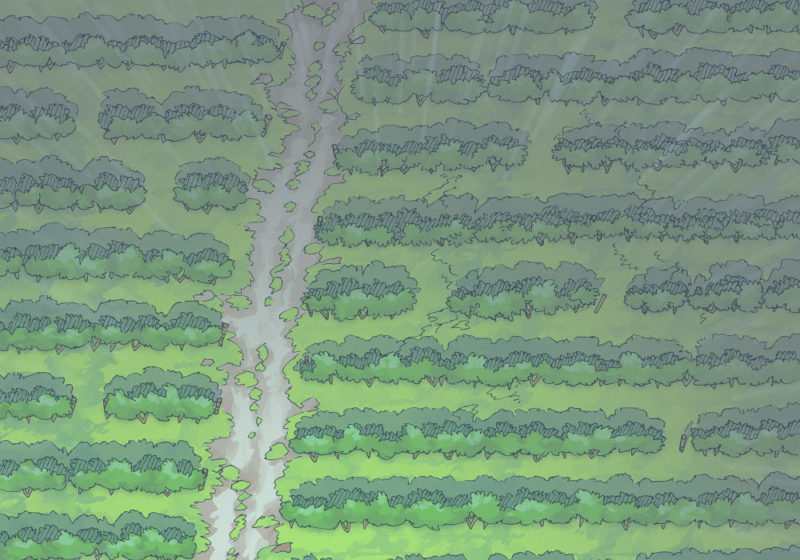 Vineyard (23x16) Rain, Day