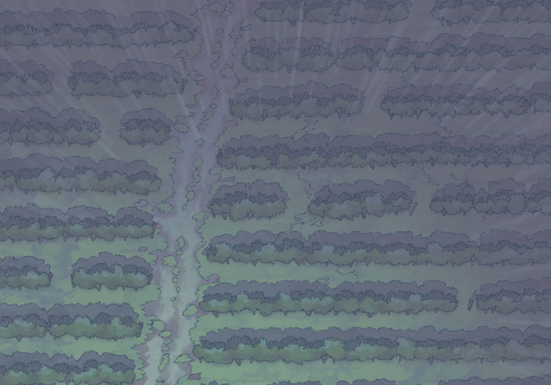 Vineyard (23x16) Rain, Night