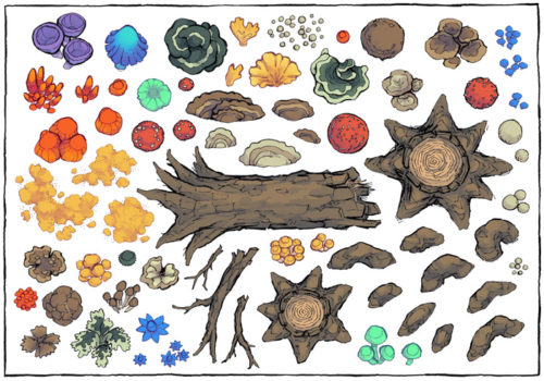 Forest Fungi Map Assets - Contents