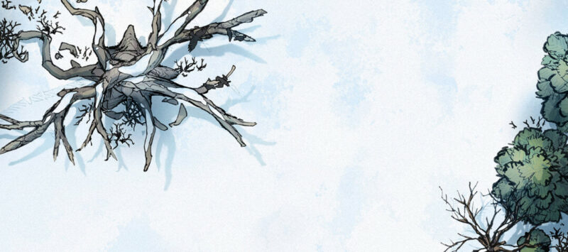 Winter Wilderness - Lonely Oak - Day A - Banner - Large